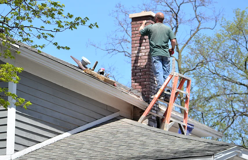 Chimney & Fireplace Inspections Services in Collinsville, IL
